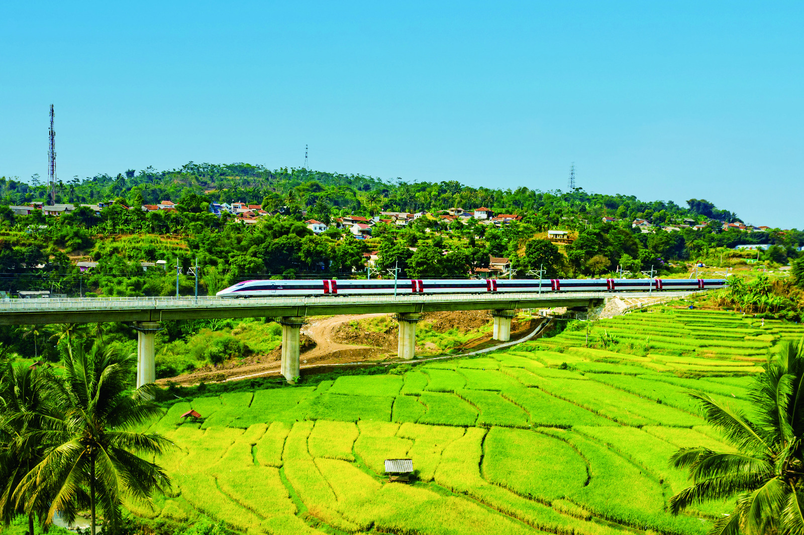 Wisatawan Pilih Whoosh KAI Catat Lonjakan 79 Persen Penumpang Asing